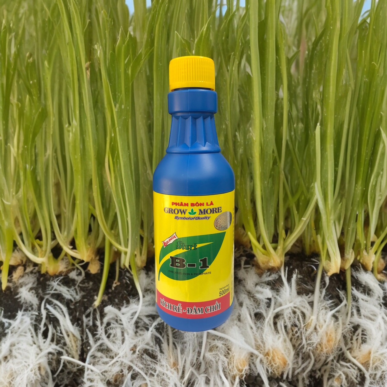 growmore.com.vn
