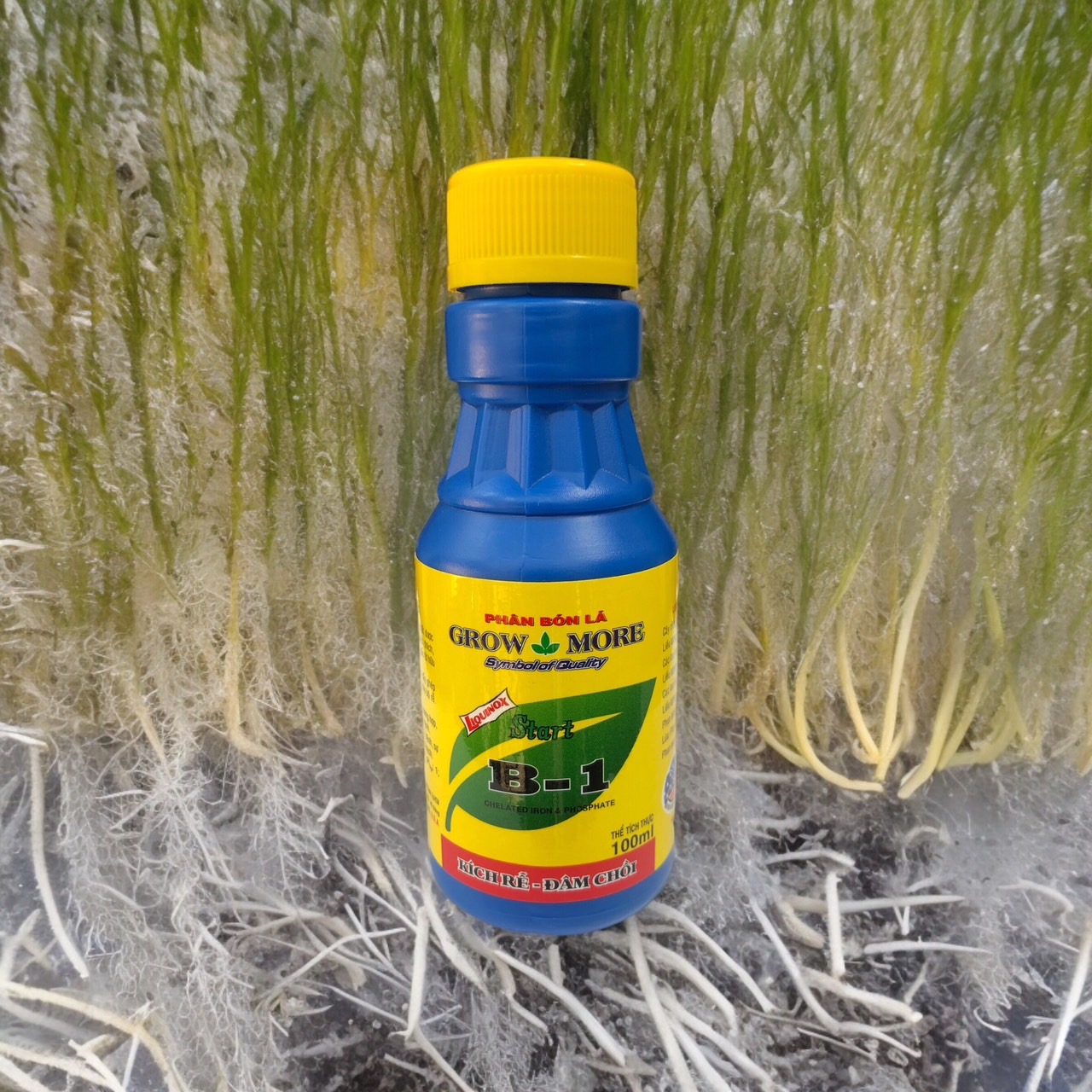 growmore.com.vn