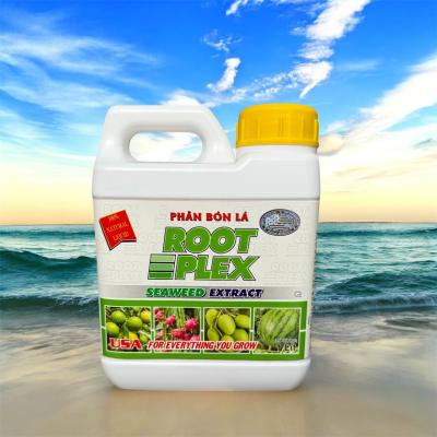 ROOTPLEX (CHIẾT XUẤT TỪ RONG BIỂN TẢO BIỂN)
